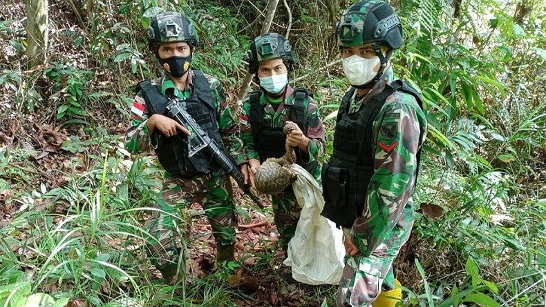 TNI Temukan Hewan Langka saat Patroli di Perbatasan Indonesia-Malaysia