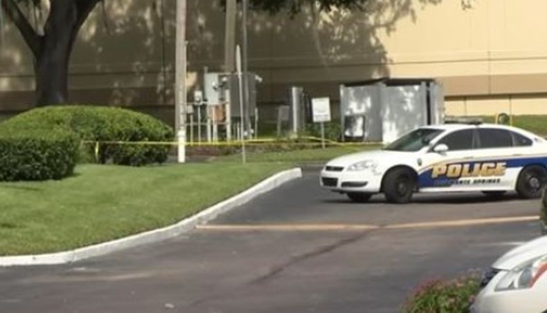 Tragis, Ibu Tewas Ditembak Putranya yang Masih Balita saat Live Zoom