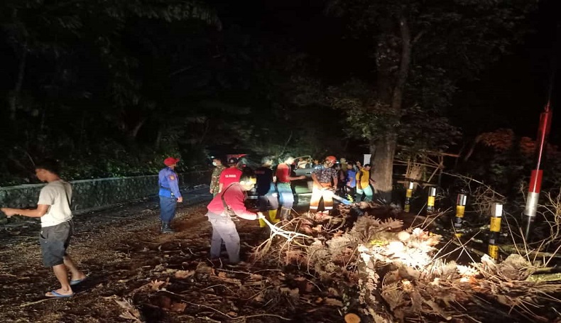 Pohon Tumbang Timpa Mobil di Jalan Palabuhanratu Sukabumi, 1 Tewas 2 Luka-Luka