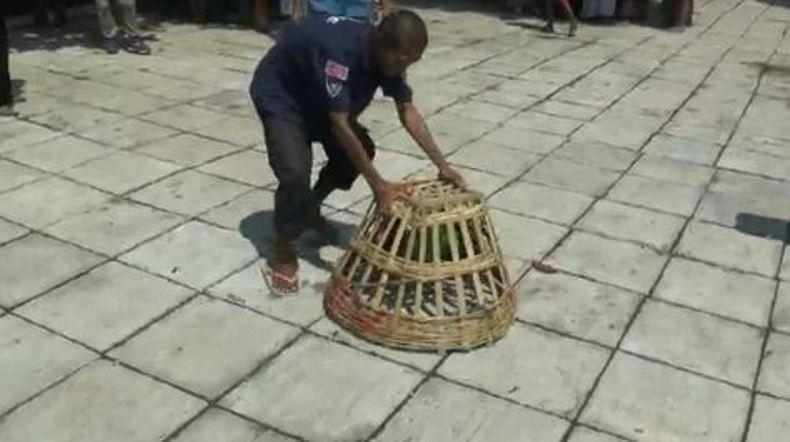 Bikin Ngakak, Lucunya Pasien Resos saat Lomba Tangkap Ayam Berlabel Harun Masiku 