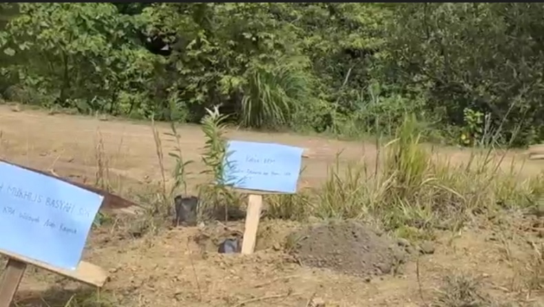 Eks Kombatan GAM Tanam 1.000 Pohon di Aceh Besar, Ingin Hijaukan Bukit Tandus