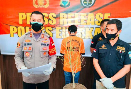 Kapolres Enrekang Pimpin Gelar Perkara Kasus Petani Tanam Ganja