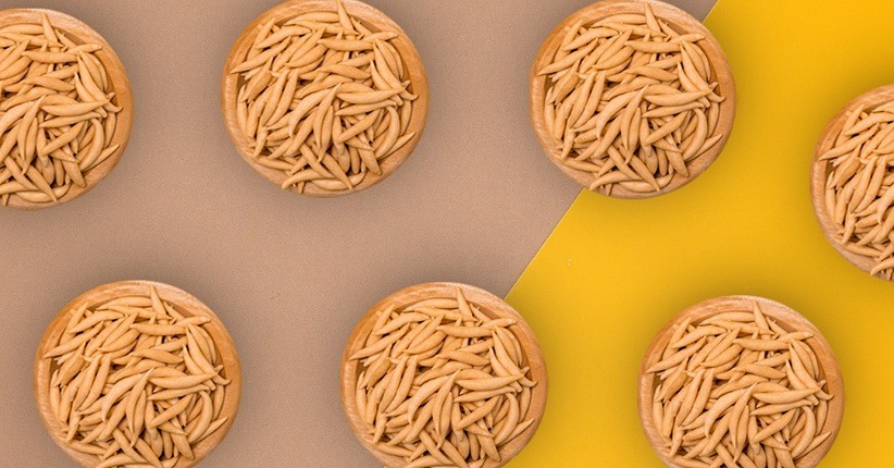 Mengenal Telur Gabus Legendaris Berawal dari Ekspresi Cinta sang Oma