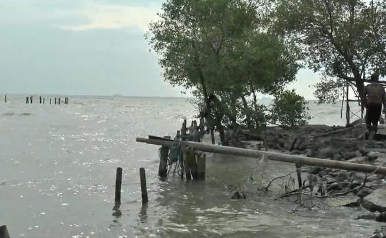 Tergerus Abrasi Rob Pantura, 4 Kecamatan di Demak Terancam Tenggelam
