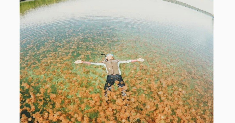 Sensasi Berenang di Danau Purba Kalimantan Timur, Unik Ada Ubur-Ubur Langka