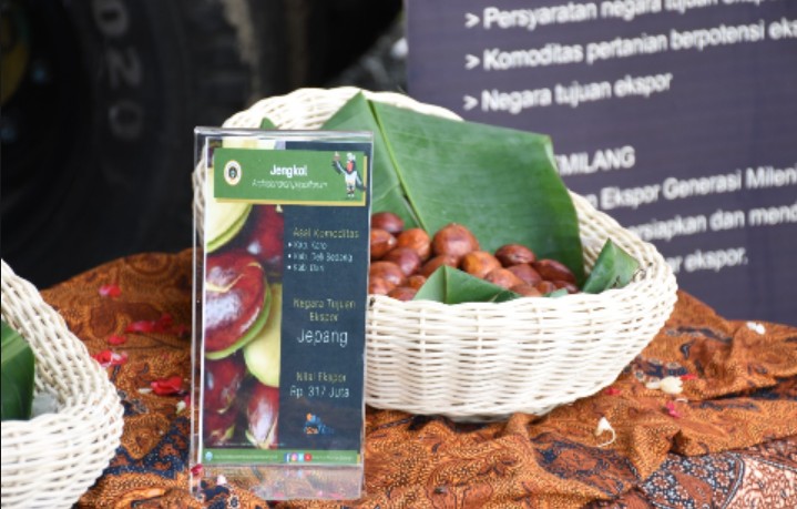 Jengkol dan Petai Asal Provinsi Ini Diekspor Perdana ke Jepang