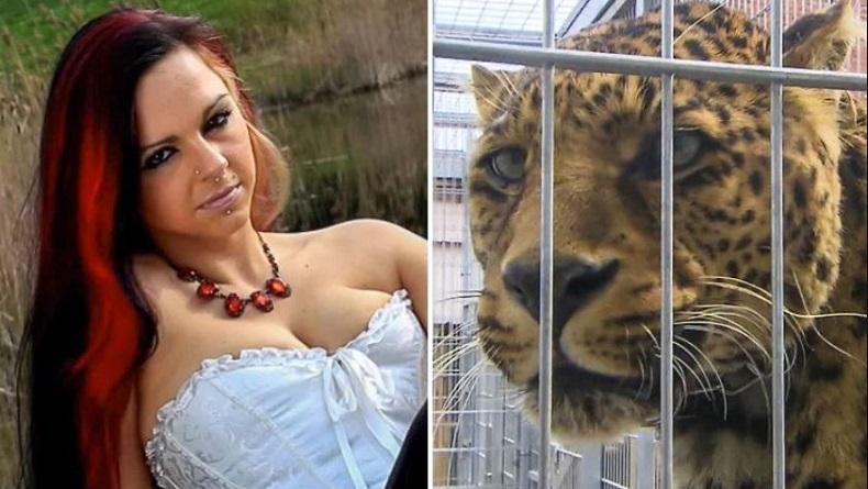 Ngeri, Model Ini Diserang Macan Tutul saat Pemotretan