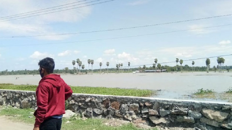 Belasan Ribu Hektare Sawah di Wajo Terendam Banjir, Kerugian Miliaran Rupiah