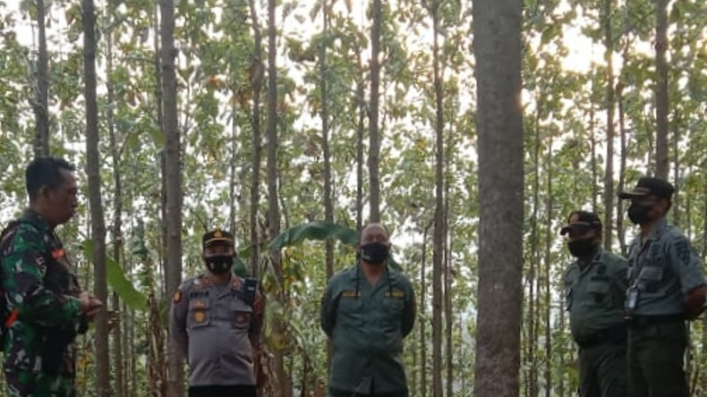Cegah Pencurian Kayu dan Karhutla di Semarang, Tim Gabungan Gencarkan Patroli