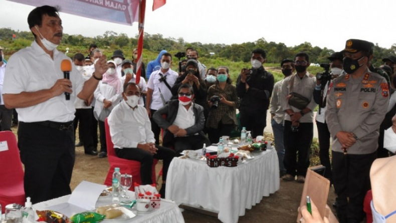 Tinjau Food Estate Humbahas, Luhut Panen Kentang dan Dialog Bersama Petani