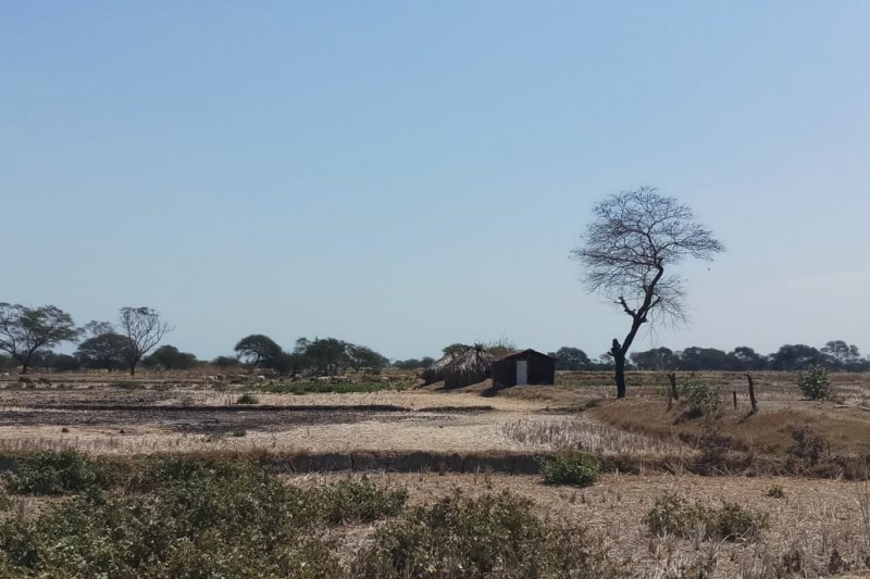 BMKG: 85,1 Persen Wilayah Indonesia Sedang Musim Kemarau