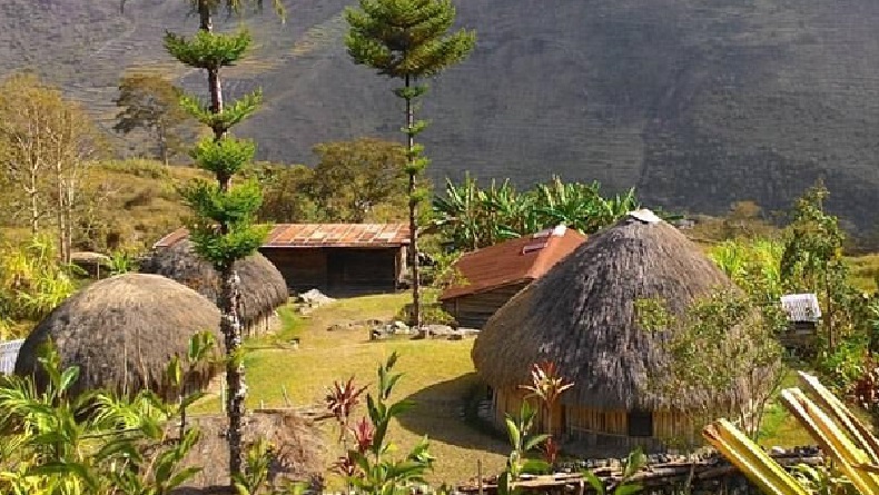 Rumah Adat Papua Barat yang Paling Terkenal, No 2 Tak Banyak Orang Tahu