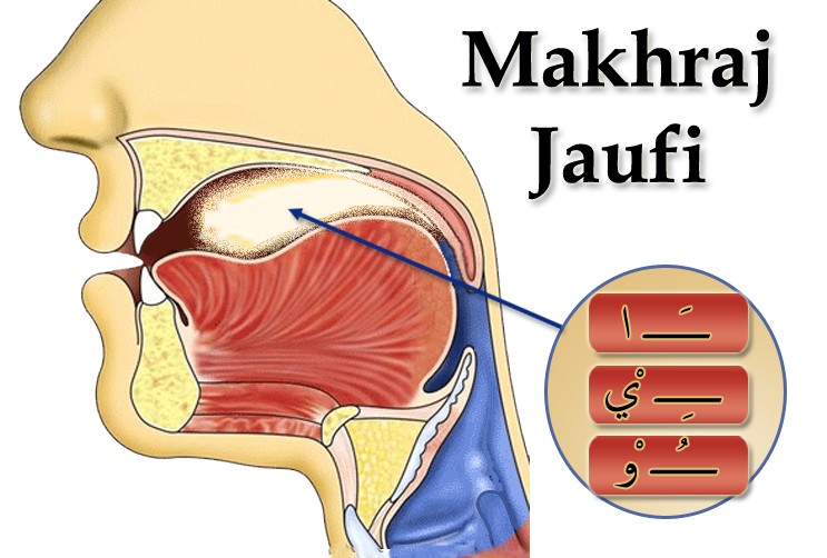 Makhraj Huruf Hijaiyah, Pengertian serta Contohnya