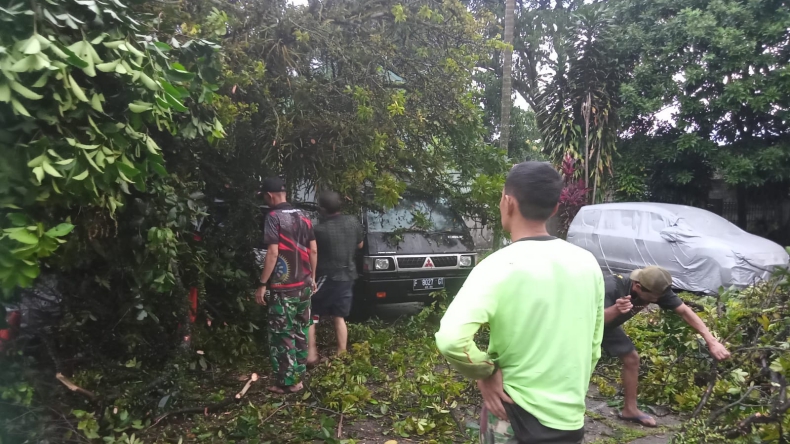 Pohon Rambutan 10 Meter di Bogor Tumbang, 4 Mobil Ringsek