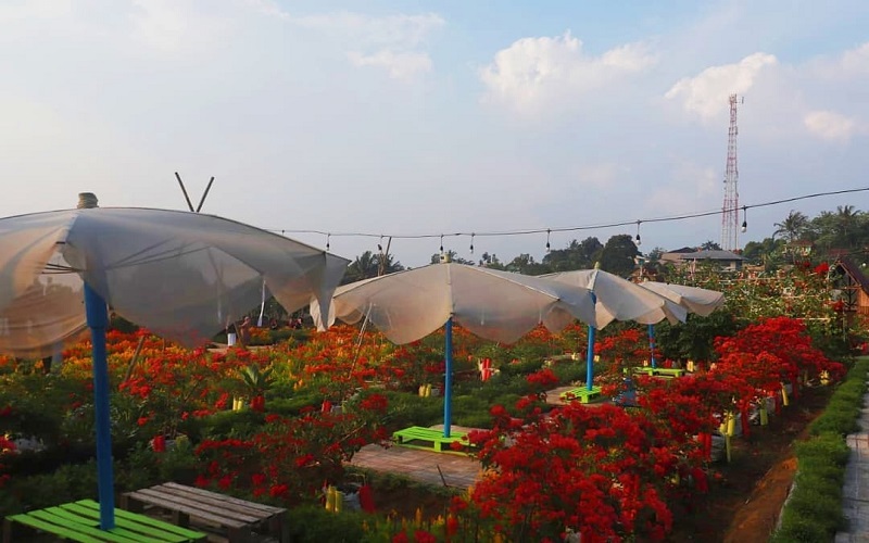 10 Rekomendasi Tempat Wisata di Ciawi Bogor