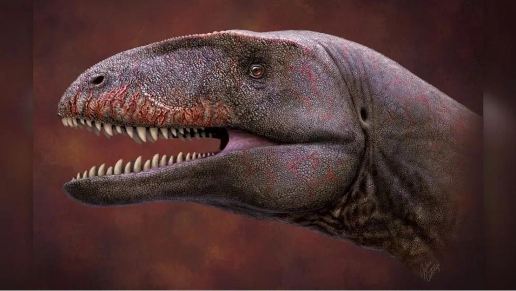 Dinosaurus Besar dengan Gigi seperti Hiu Pernah Hidup di Uzbekistan