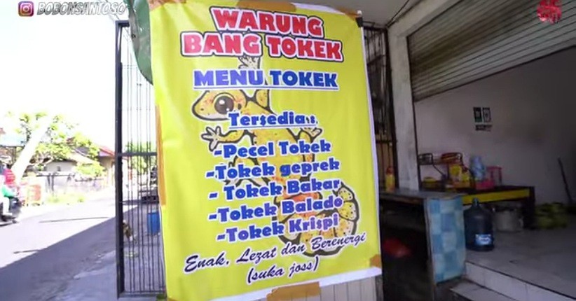 Viral Warung Makan Menjual Menu Tokek Krispi hingga Balado, Ini Faktanya!