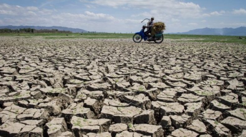 Cuaca Ekstrem, 4 Daerah Ini Belum Mengalami Musim Hujan