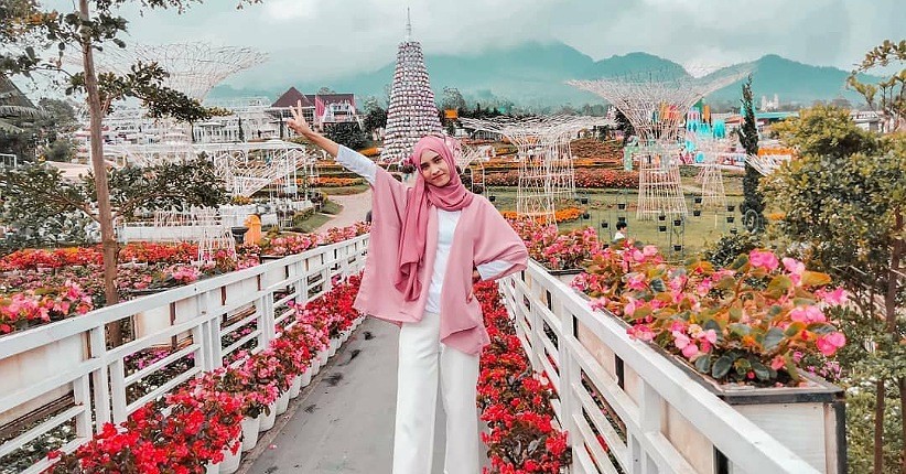 Wisata Taman Bunga Celocia Bandungan Semarang, Eksotis di Kaki Gunung Ungaran