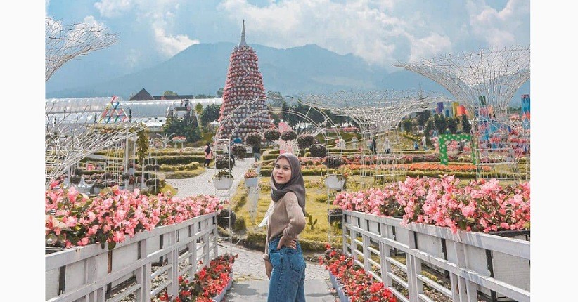 Tips Wisata ke Taman Bunga Celocia Semarang, Incar Spot Instagramable