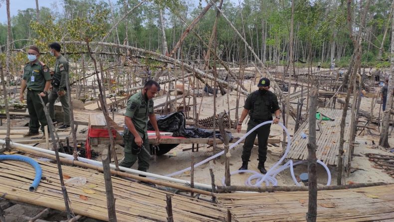 Diduga Bocor, Penertiban Tambang Ilegal di Hutan Mangrove Belo Laut Sepi