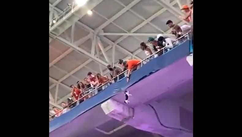 Kucing Alihkan Perhatian Ratusan Penonton, Selamat setelah Jatuh dari Tribun Atas Stadion