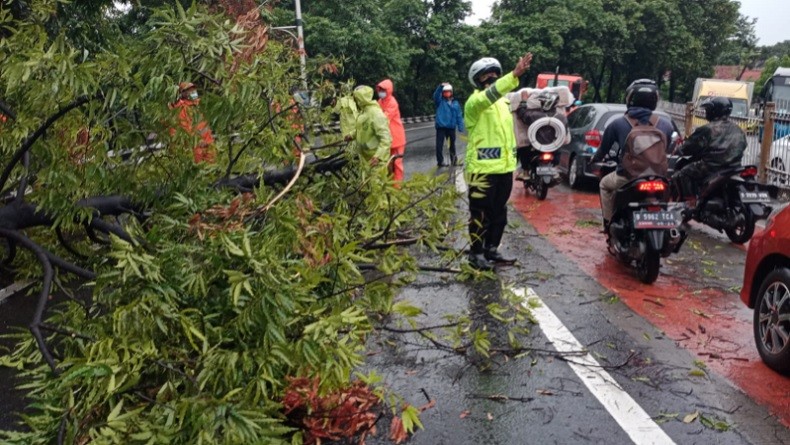 Pohon Tumbang di Jalan Raya Pondok Gede, Polisi Sibuk Atur Arus Kendaraan