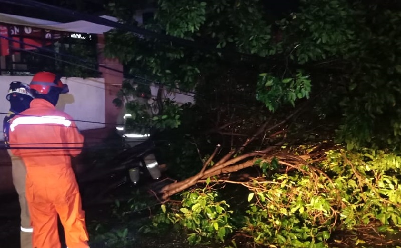 Angin Kencang Tumbangkan Pohon di Duren Sawit