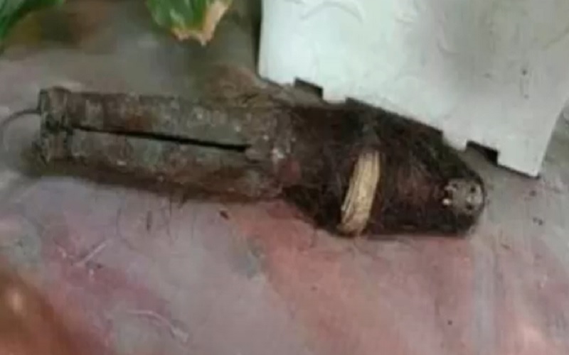 Viral Jenglot Tergeletak di Jalanan Labuhanbatu Sumut