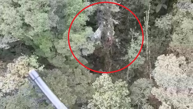 Ditemukan, Tiga Jenazah Awak Pesawat Rimbun Air Dievakuasi