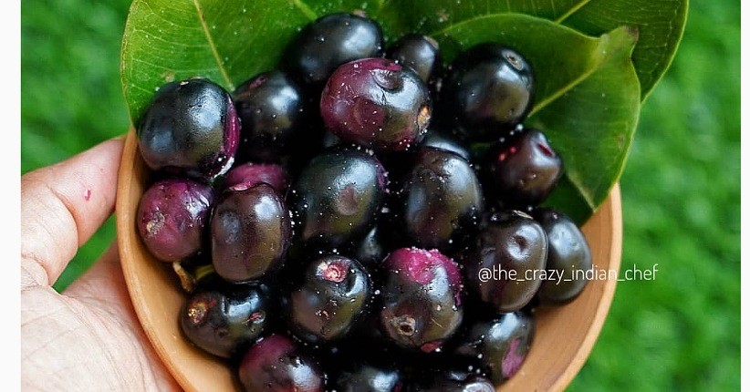 Mengenal Buah Jamblang, Mirip Anggur dan Sehat untuk Kulit hingga Imun Tubuh