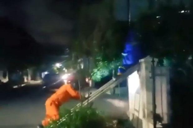  Begini Aksi Petugas Damkar Evakuasi Sarang Tawon saat Tengah Malam