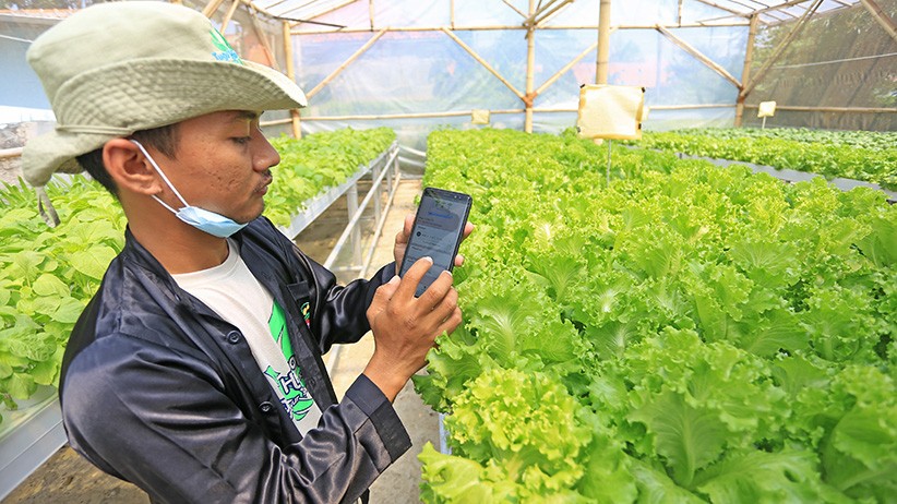 Viral Polemik dan Keluhan Peserta Program Petani Milenial Jabar  