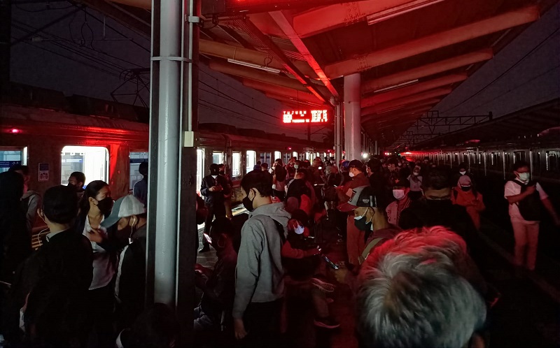 Pohon Tumbang Tutup Rel di Depok, Perjalanan KRL Manggarai-Bogor Terganggu