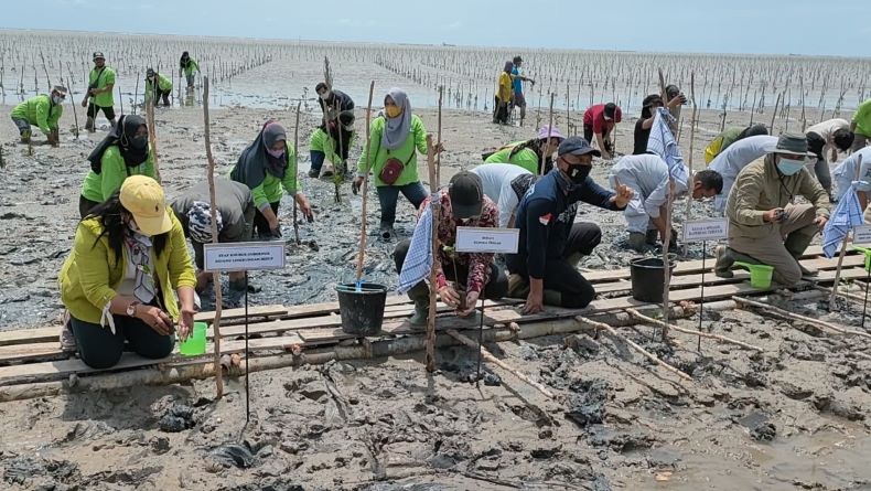Bupati Bangka Tengah Tanam Mangrove Serentak Bersama Presiden Jokowi