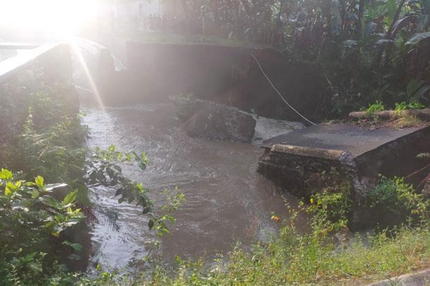 Irigasi di Kalibawang Ambles, Ancam  2.010 Hektare Lahan Persawahan Siap Panen