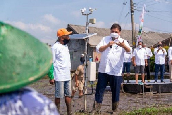 Berhenti Kerja Kantoran, Petani Milenial di Klaten Raup Penghasilan Lebih Tinggi dalam Tiga Bulan