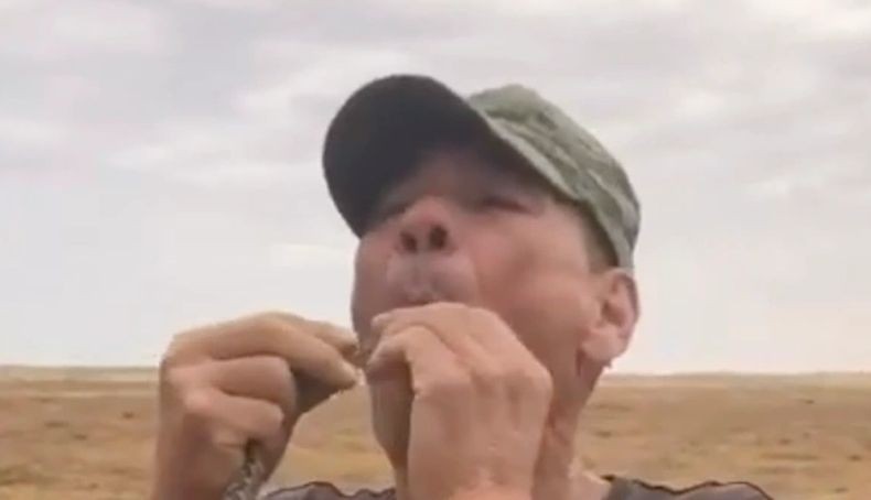 Viral, Pria Ini Tewas Setelah Pamer Keberanian Masukkan Ular ke Mulut