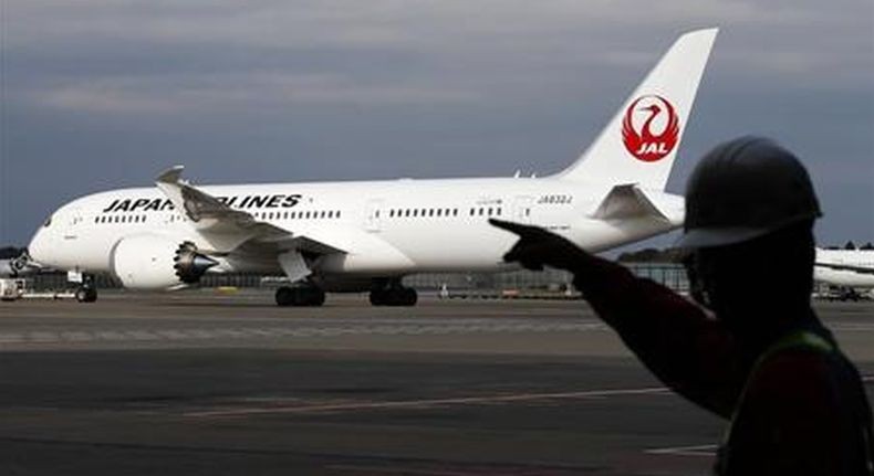 Kura-Kura Jalan di Landasan, Penerbangan Bandara Narita Jepang Ditunda