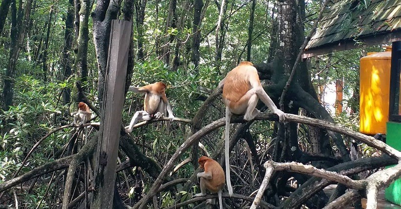 Mengenal Destinasi Wisata di Tarakan, Unik Ada Sejarah Peninggalan Perang Dunia II