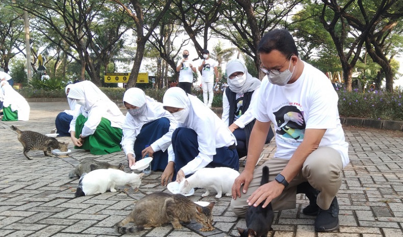 Peringati Hari Rabies Sedunia, Anies Beri Makan Kucing Liar di Ancol