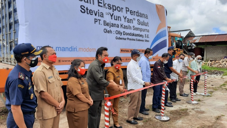 2 Ton Tanaman Stevia Sulut Diekspor Perdana ke Korea 