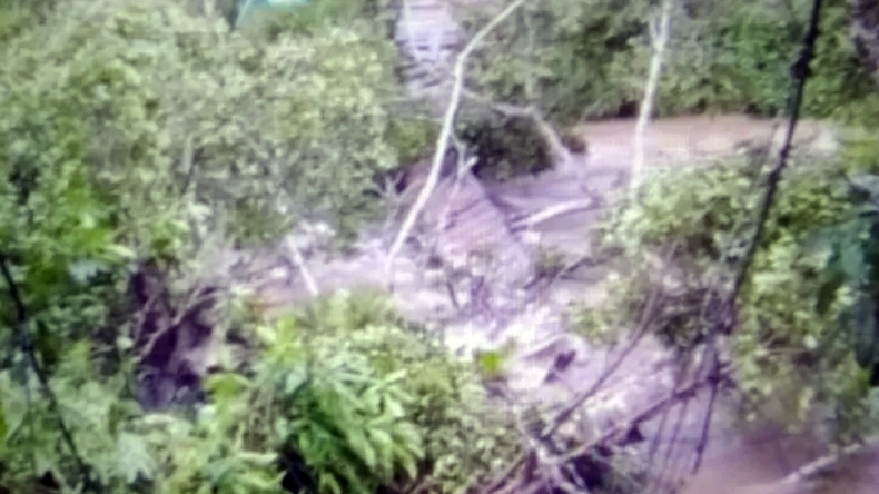 Tertimpa Pohon Tumbang, Jembatan Gantung di Pasaman Ambruk