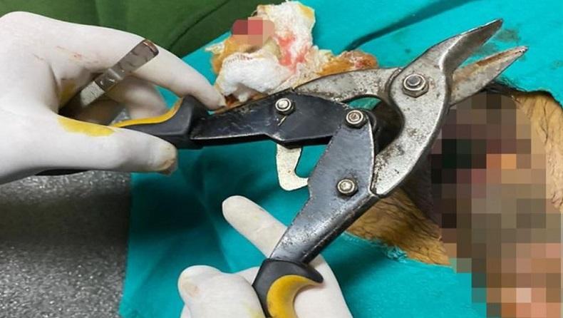 Duh, Penis Pria dengan Gangguan Jiwa Tercekik Botol selama 2 Bulan