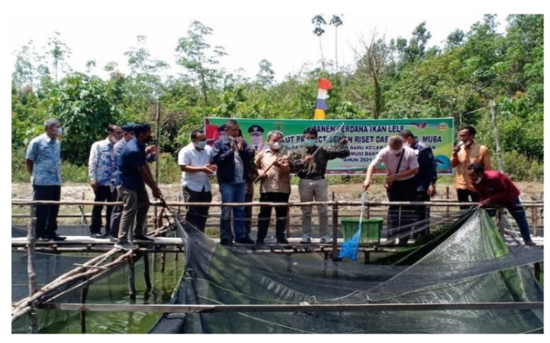 Pemkab Muba Kembangkan Sentra Peternakan Lele di Desa