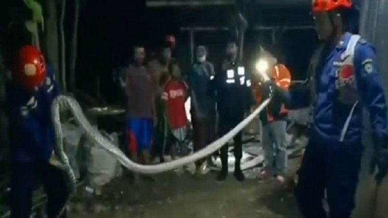 Ular Piton Sepanjang 3,5 Meter Gegerkan Warga di Maros