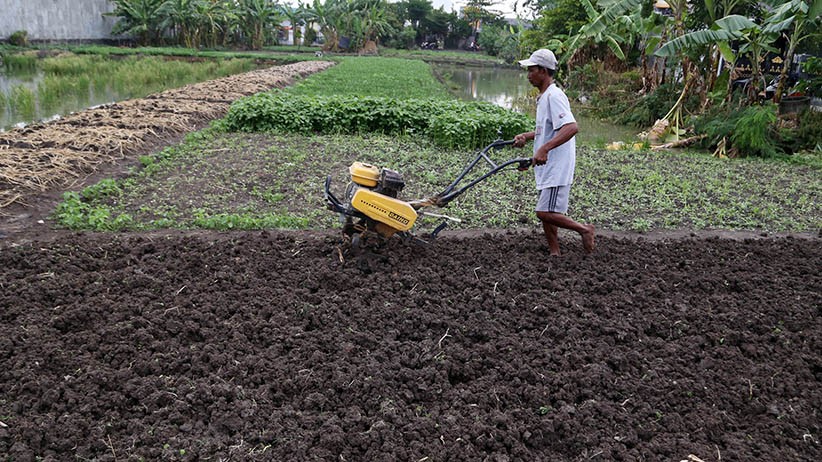 Antisipasi Kelangkaan, Komisi IV DPR Dorong Petani Gunakan Pupuk Organik
