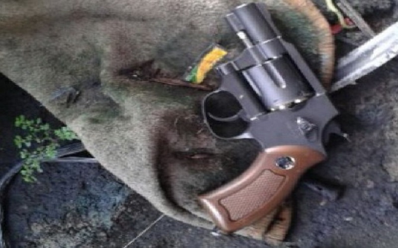 Tertinggi  dalam Seperempat Abad,  Pembunuhan Bersenjata di AS Tahun Pertama Covid-19 Melonjak 35 Persen