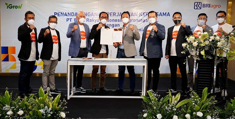  BRI Agro Genjot Ekspansi di Sektor Pertanian Melalui iGrow