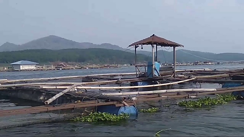 Keramba Ikan di Waduk Cirata Cianjur Dikuasai Orang Luar, Warga Lokal Gigit Jari
